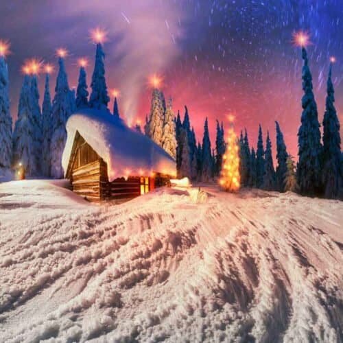 christmas-tree-outdoor-decoration-with-snow