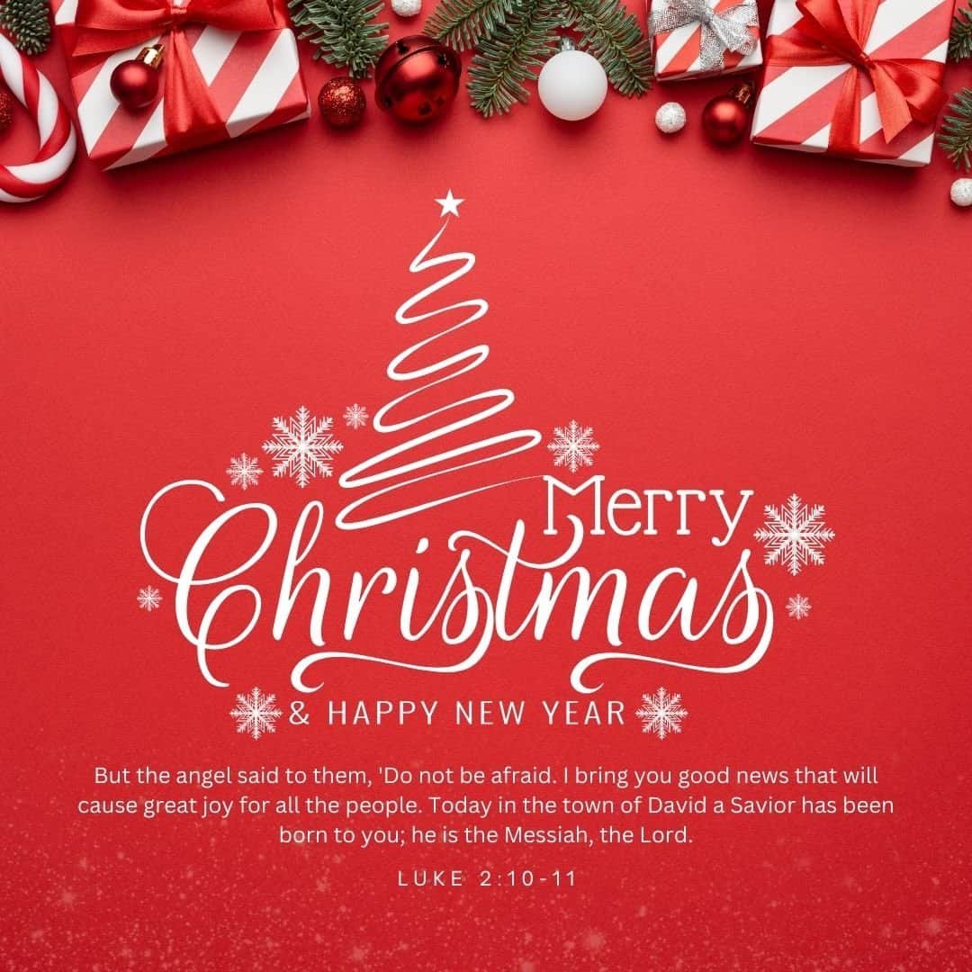 Luke 2:10-11 But the angel said to them, 'Do not be afraid. I bring you good news that will cause great joy for all the people. Today in the town of David a Savior has been born to you; he is the Messiah, the Lord.
