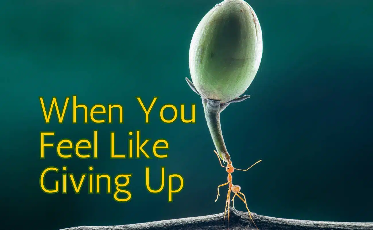 Unveiling the Shield: Encouraging Bible Verses About God's Protection My Bible Song 2026 24 Bible Verses on Endurance When You Feel Like Giving Up