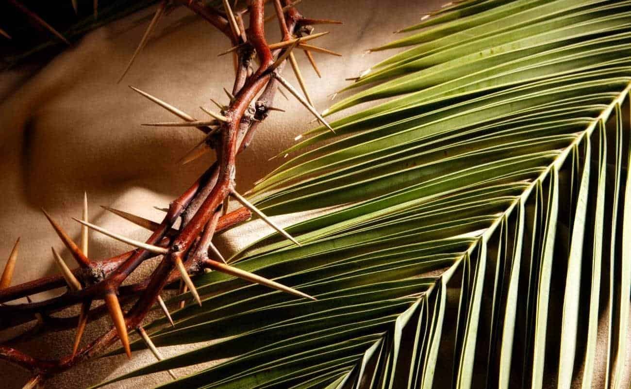 Thorny crown of Jesus with a green palm leaf, symbolizing Christianity, salvation, and the story of Jesus' crucifixion, on a textured background.
