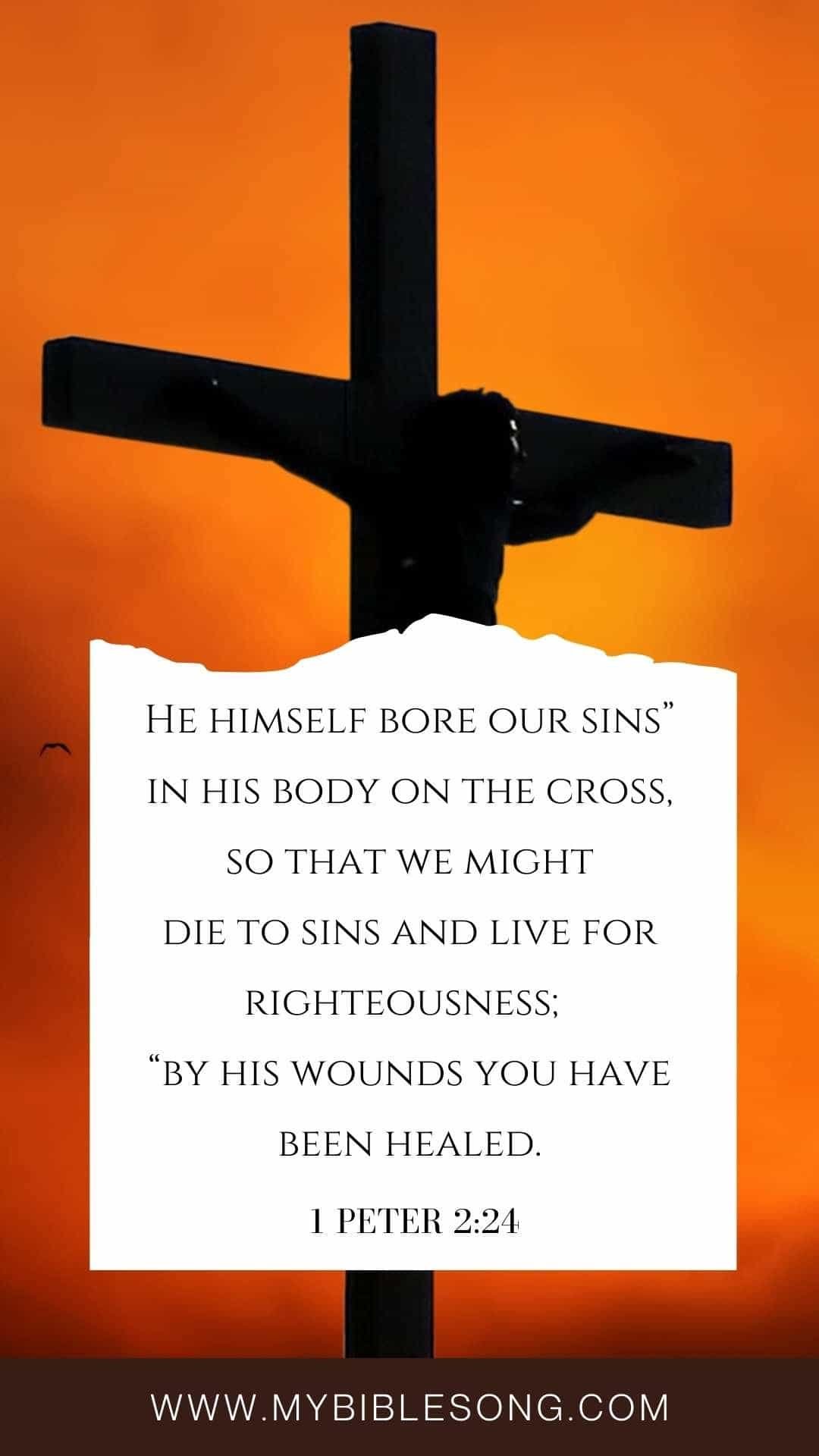 30 Good Friday Wishes Scripture: Beautiful Images and Inspiring Quotes to Share My Bible Song 2026 1 Peter 2-24 He himself bore our sins in his body on the cross