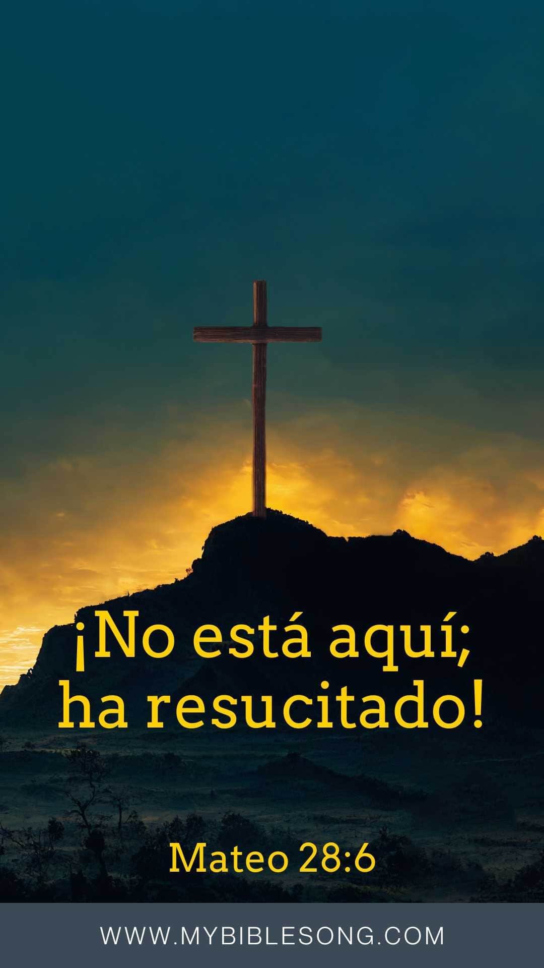 Exploring the Bible: A Comprehensive List of Bible Books in English and Spanish for Every Reader My Bible Song 2026 Easter Bible Quotes Images in Spanish Mateo 28-6