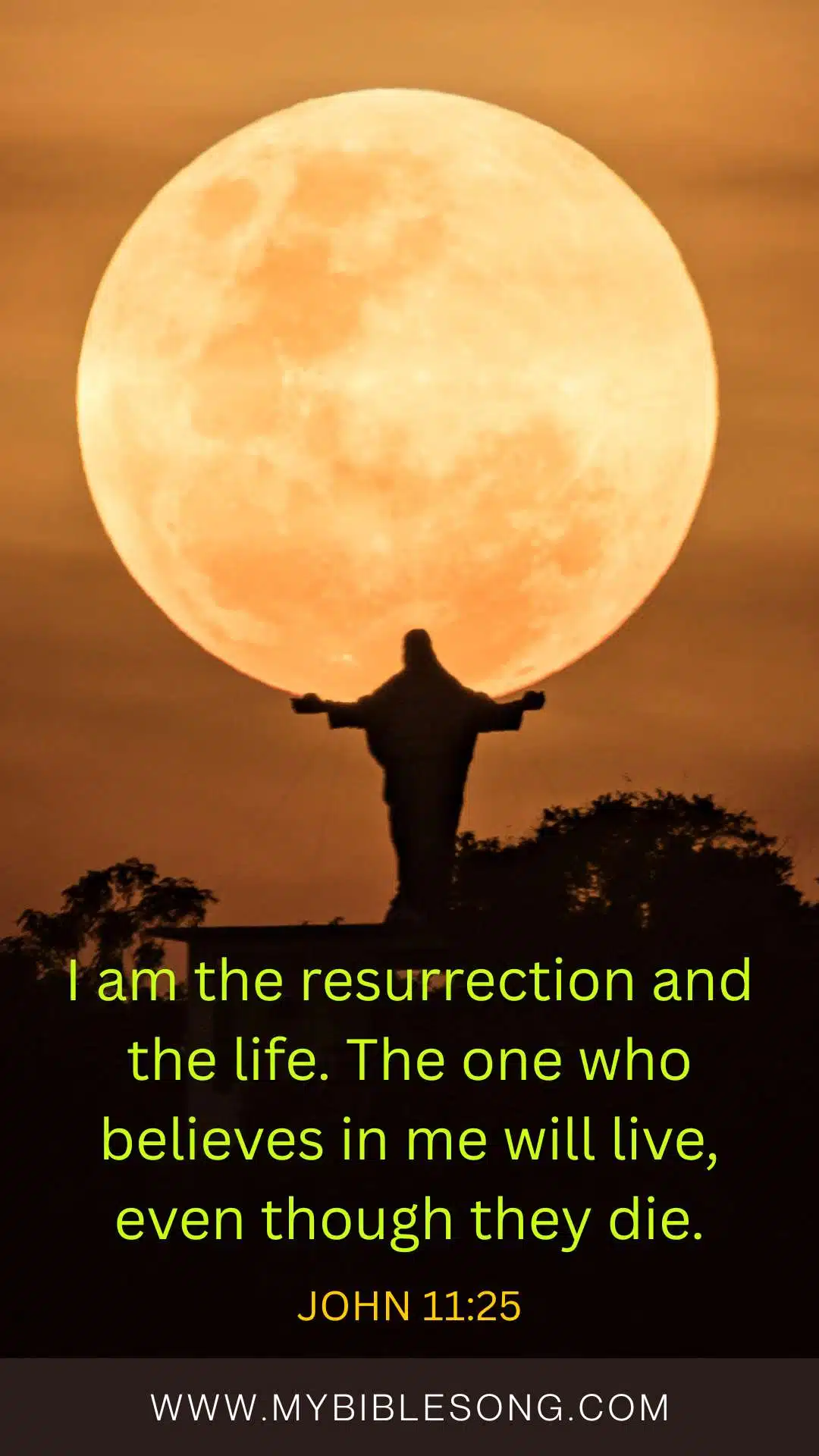 John 11-25 I am the resurrection and the life