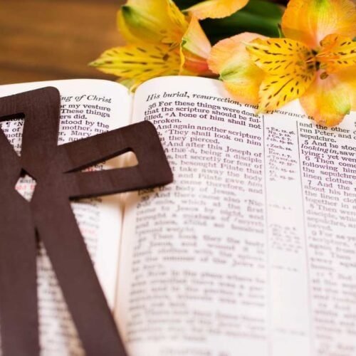 Celebrating the Fourth Sunday of Easter: Meaning, Traditions, and Reflections for a Joyful Season My Bible Song 2025 Celebrating the Fourth Sunday of Easter with Faith and Joy