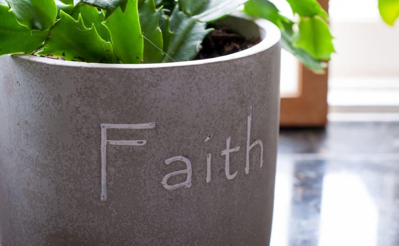 Green leafy plant in a gray pot with "Faith" written on it, symbolizing growth and spiritual trust, ideal for inspirational decor and faith-themed content.