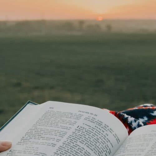 20 Encouraging Bible Morning Verses to Start the Day with Joy My Bible Song 2026 Psalm Bible open in hands, scenic sunset background, inspiring religious worship, spiritual reflection, faith, Christian prayer, and biblical meditation.