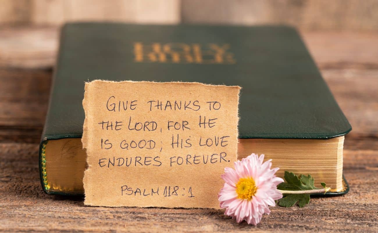 Bible with handwritten note, pink flower, and wooden background, emphasizing scripture, faith, worship, and inspirational Christian messages for Bible study and spiritual growth.