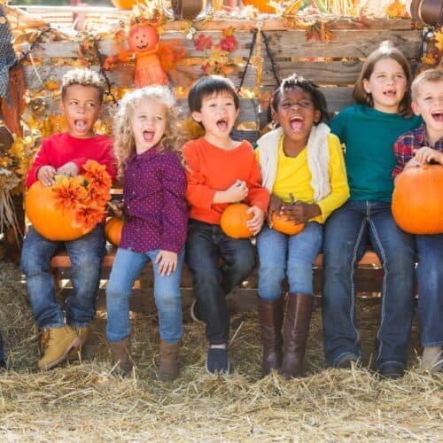 Top Bible Verses About the Fall Season