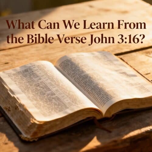What Can We Learn From the Bible Verse John 3:16? My Bible Song 2025 Bible open on wooden table with sunlight, focused on Bible verse John 3:16, promoting Christian songs and faith-based learning, emphasizing biblical teachings.