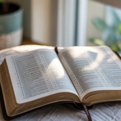 Bible open on a white cloth with sunlight and shadows, with a potted plant and window in the background.