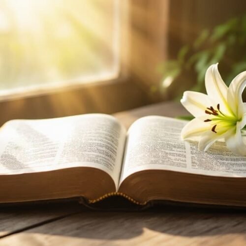 Open Bible with white lily flower on a wooden table, sunlight streaming through window, symbolizing faith, spirituality, and biblical inspiration.