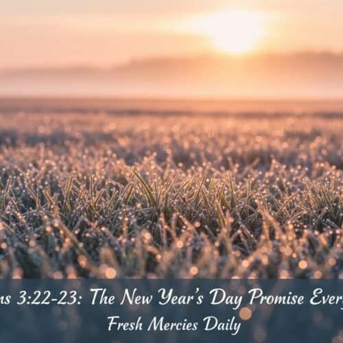 Ethereal sunrise over dewy grass celebrating new beginnings, faith renewal, and spiritual growth, perfect for Christian worship and prayer reflections.