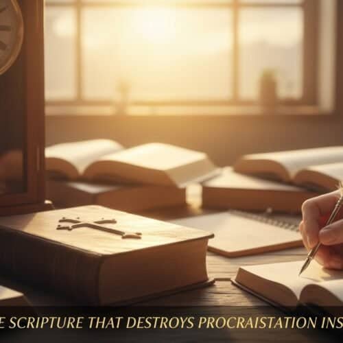 Elegant Christian study scene with open Bible, feather pen, and warm sunlight. Perfect for worship, prayer, and biblical inspiration.