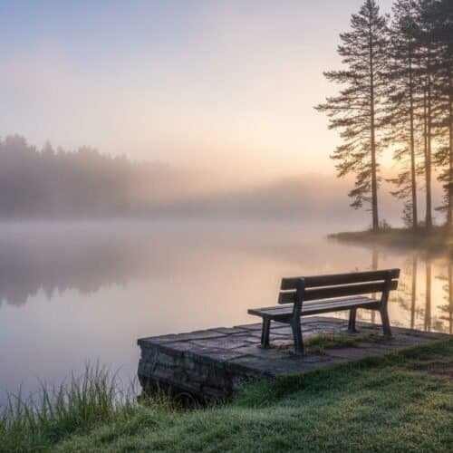 Serene lakeside view featuring a wooden bench on a small dock, surrounded by calm water and misty trees, perfect for reflection and tranquility.