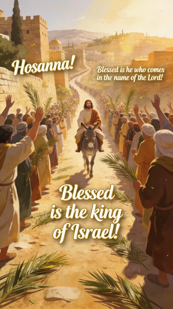 The Triumphal Entry of Jesus coming to the Jerusal 0002 - My Bible Song