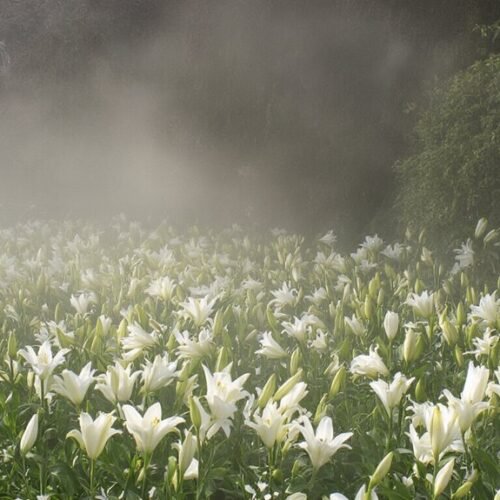 liturgical meaning of easter monday