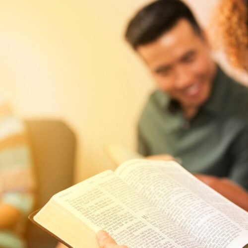 Checking on Daniel Chapter 1 Bible Study in Hindi and Gujarati