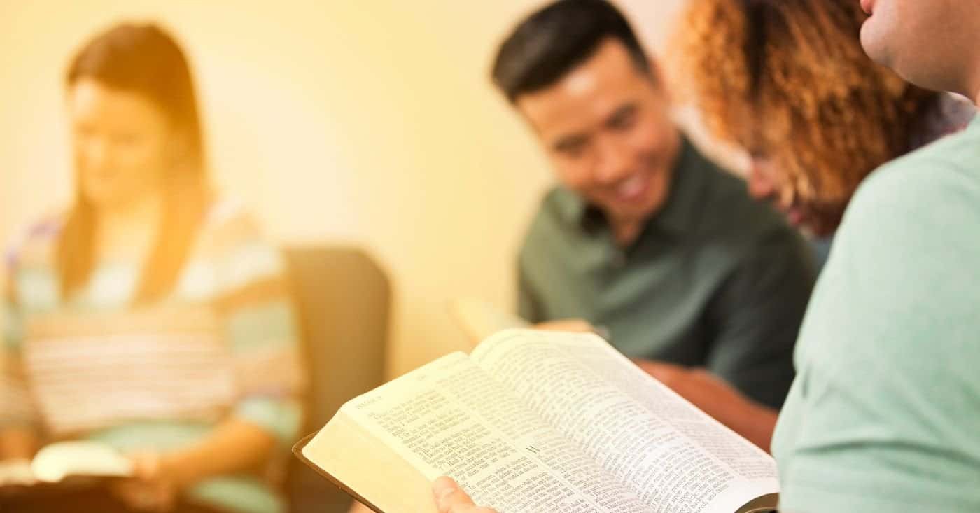 Checking on Daniel Chapter 1 Bible Study in Hindi and Gujarati
