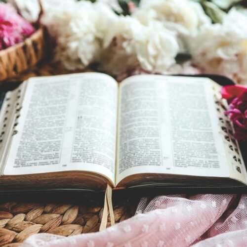 Fruit of the Spirit Galatians 5 22 Meaning in Hindi and Gujarati