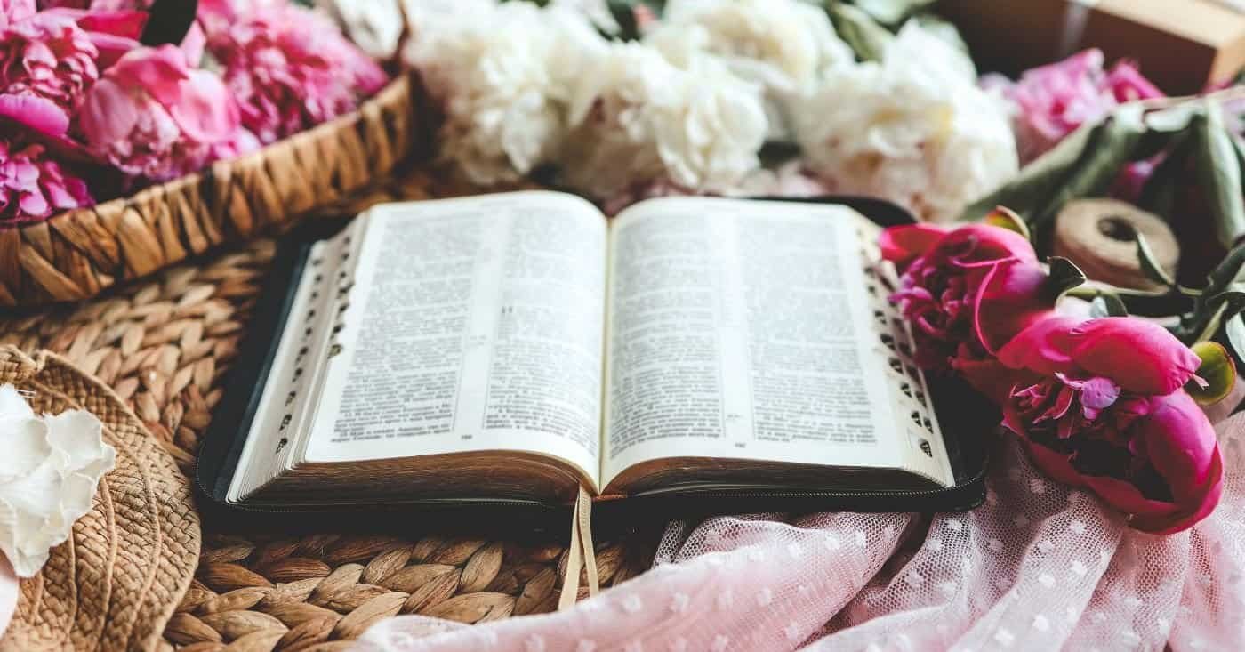 Fruit of the Spirit Galatians 5 22 Meaning in Hindi and Gujarati