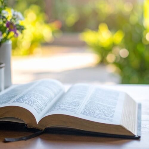 Joseph Bible Story in Hindi From Pit to Palace