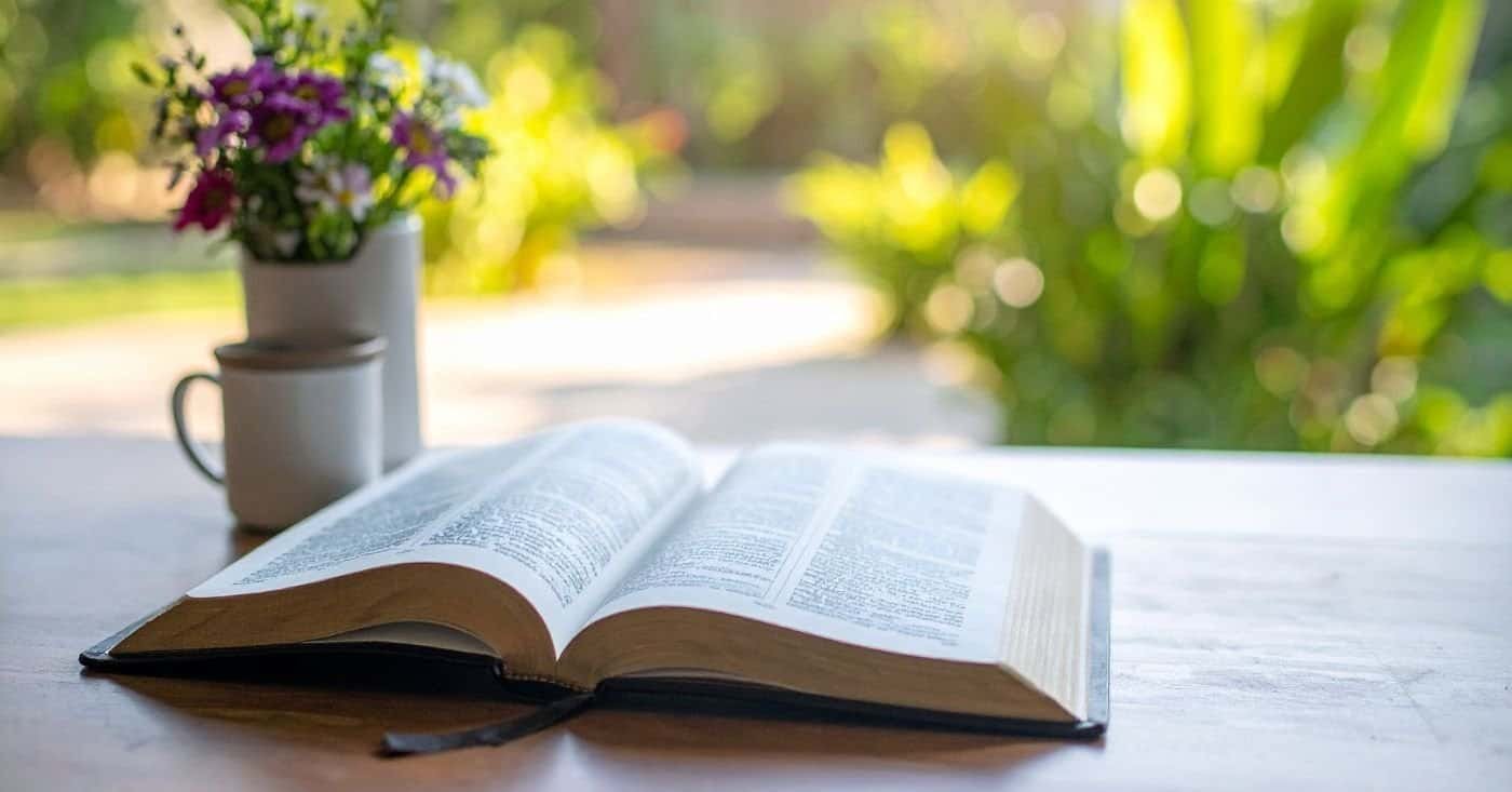Joseph Bible Story in Hindi From Pit to Palace